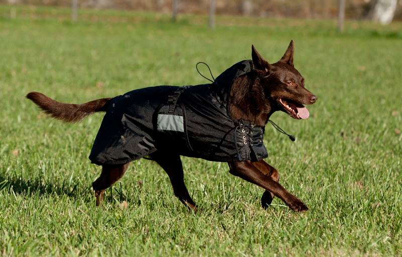 14971444_10154255036185000_816359680_n