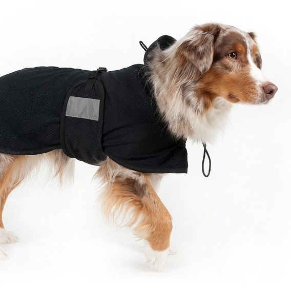 Koera jope Back On Track koera võrkjope