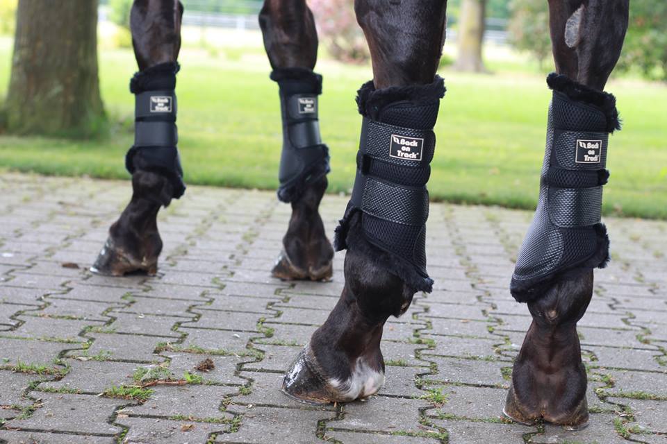 32668480_1661778250577986_7200751171277946880_n