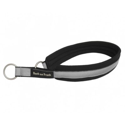 Helkuriga koera kaelarihm