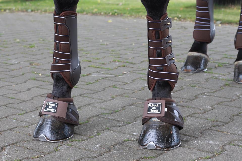 36676471_1723700277719116_3482633425200873472_n