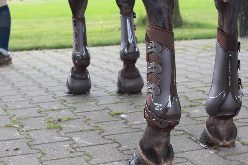 36743605_1723700244385786_1749328600428969984_n