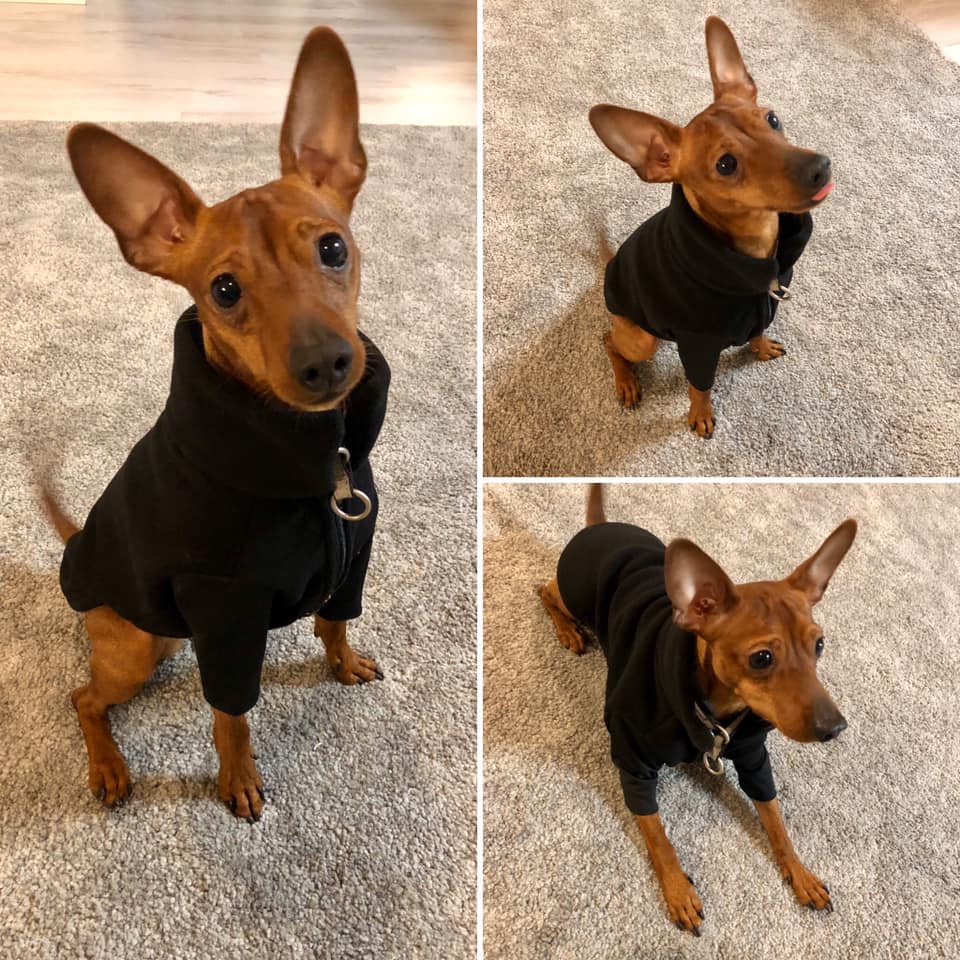 82253736_2801862906535650_1840398653181657088_n